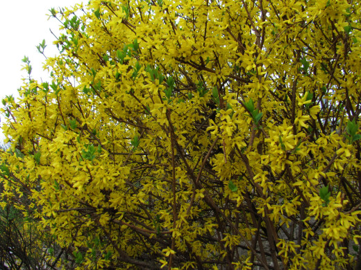1699544 (a): :2560x1920
